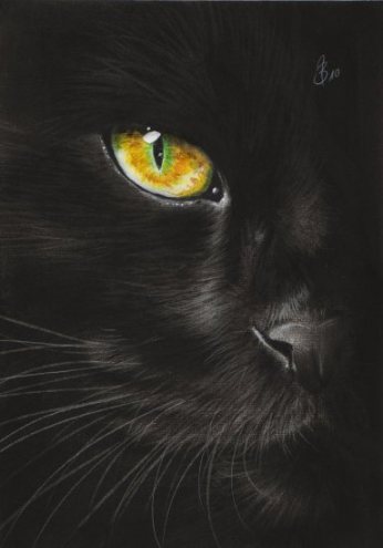 black_cat_eye_by_drehli